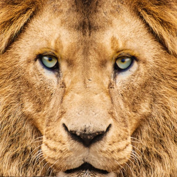 Meet your Posher, Leonard c. - Picture 1 of 1